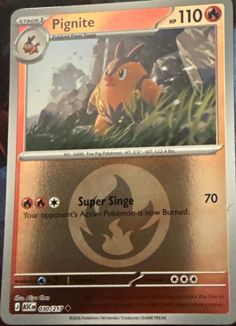 Ascended Heroes Pignite [Energy] Pokémon card